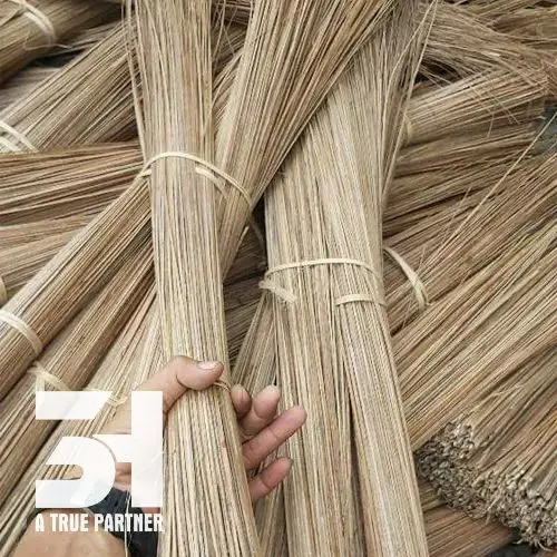 Vietnamese Palm Broomstick And Coco Broomstick With High Quality And