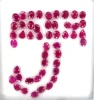 Reddish Pink