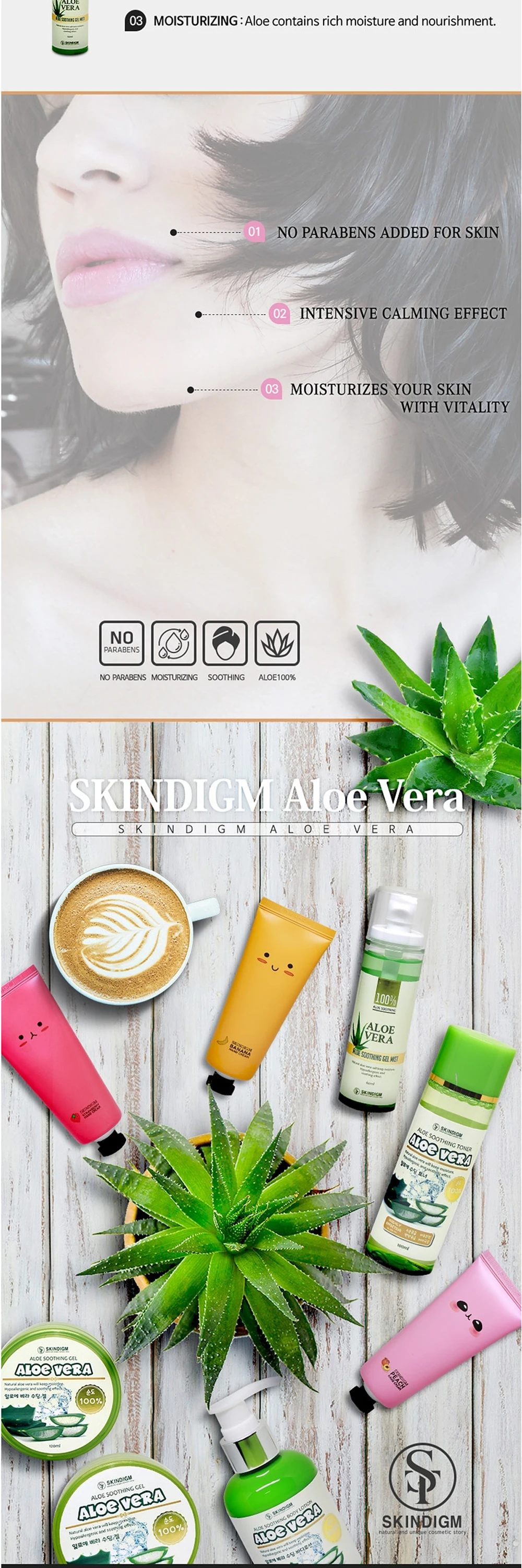 SKINDIGM Facial Gel Korea Skincare Mist Aloe Vera Sprayer Moisturizing ...