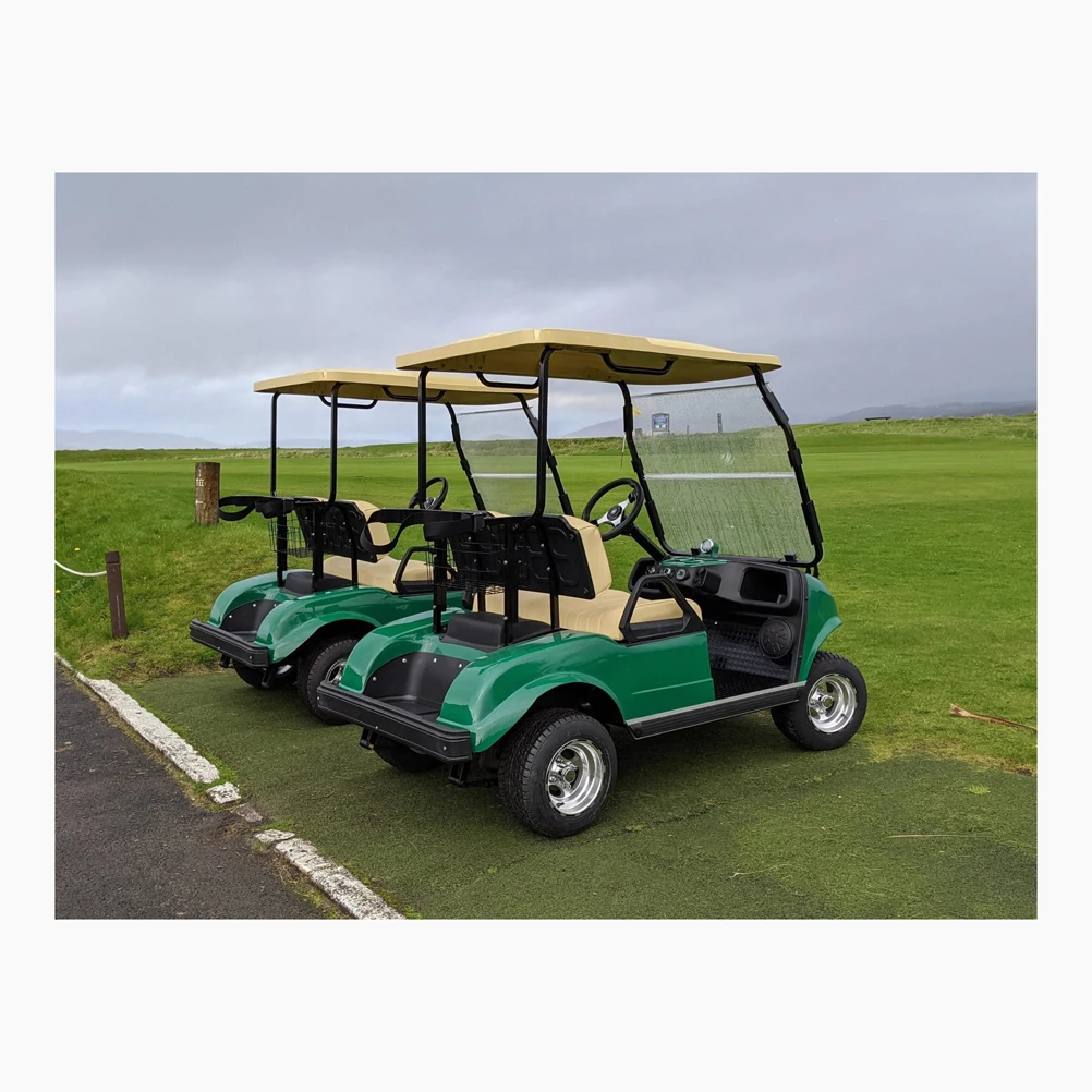 6 Seater Electric Golf Cart,Utility Buggy Food Golf Carts - Buy Latest ...