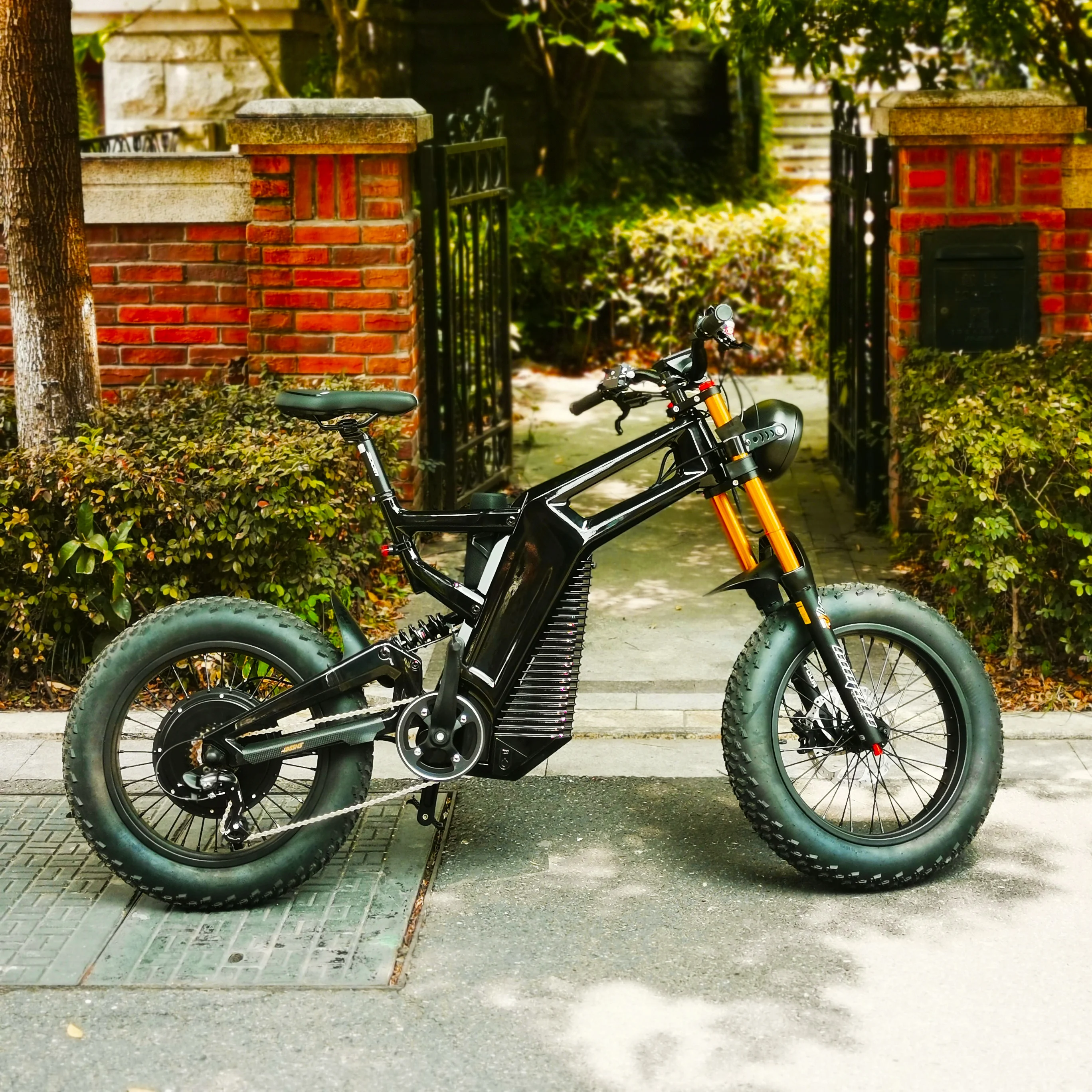 Low Rider Ebike 500/1000W Motor, 52V 25ah Battery