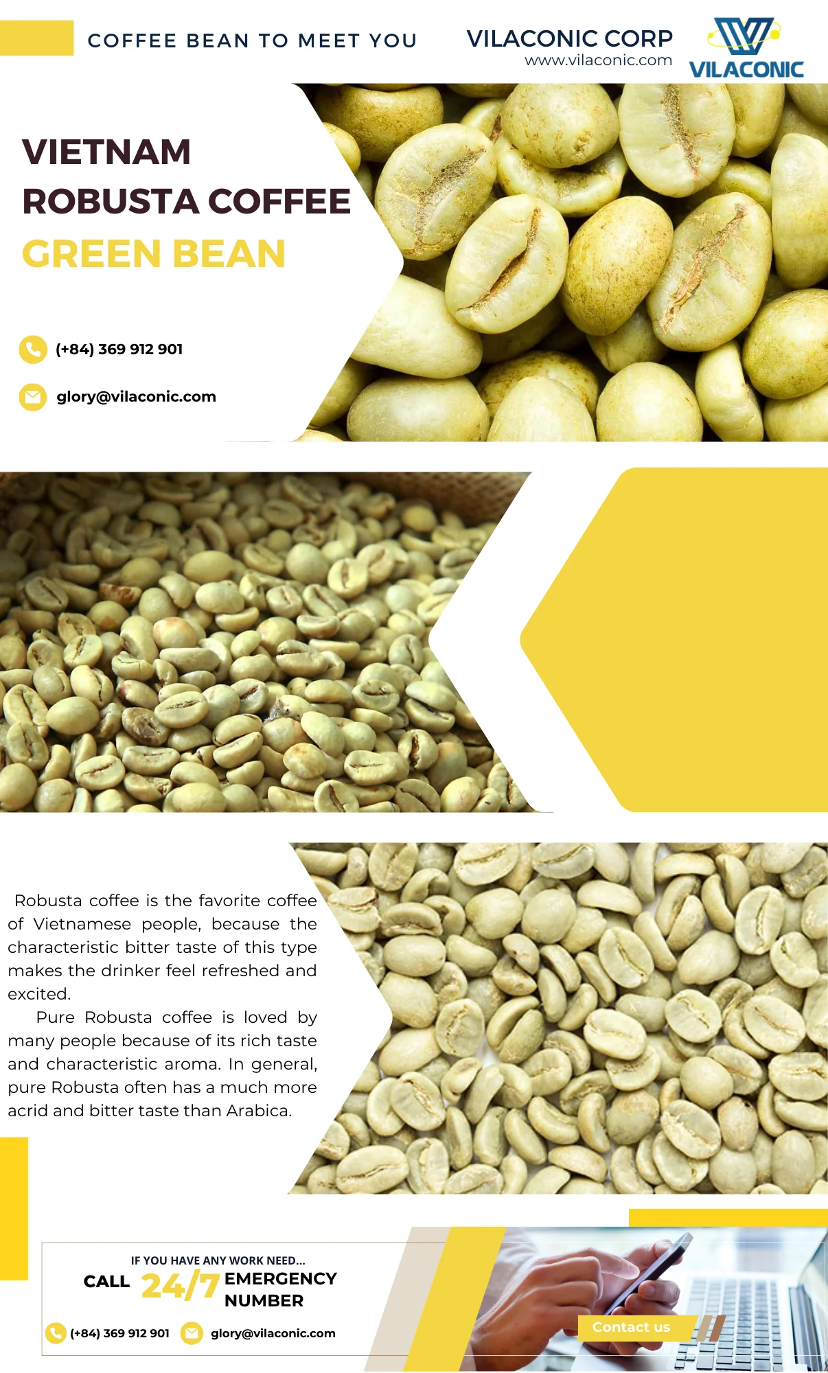 Grade 1 The Best Vietnamese Robusta Green Coffee Beans,Wholesale Scr13 ...