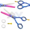 เช่นเดียวกับภาพ