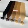 Trama 4