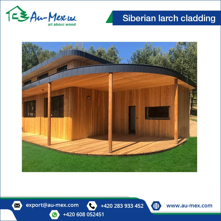 Siberian Larch Wood Wall Cladding at Low Price 20x69 mm
