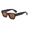 C2-TORTOISE / BROWN