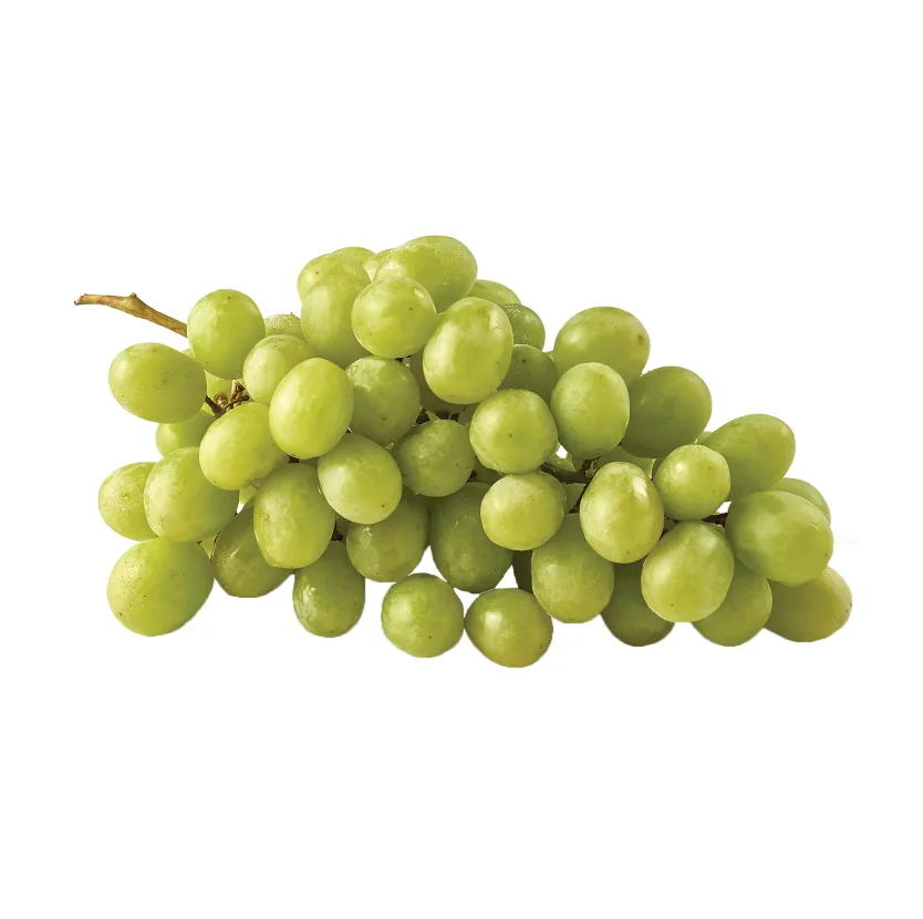 Fresh White Seedless Grapes Buy Wholesale Cheap Price Best Quality