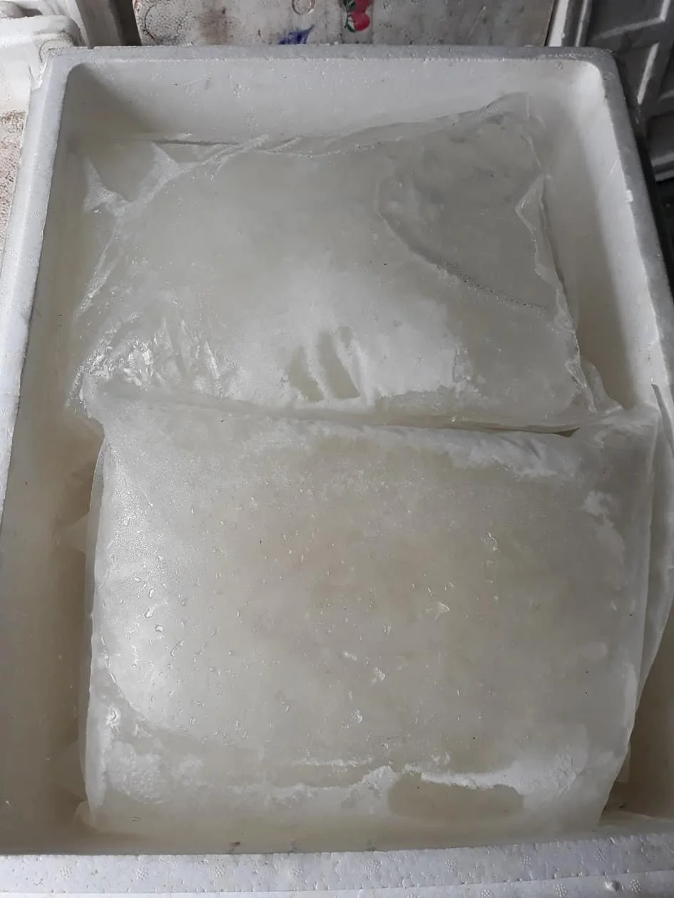 Good Price Frozen Coconut Water/ Coconut Water Importers In Europe Ms