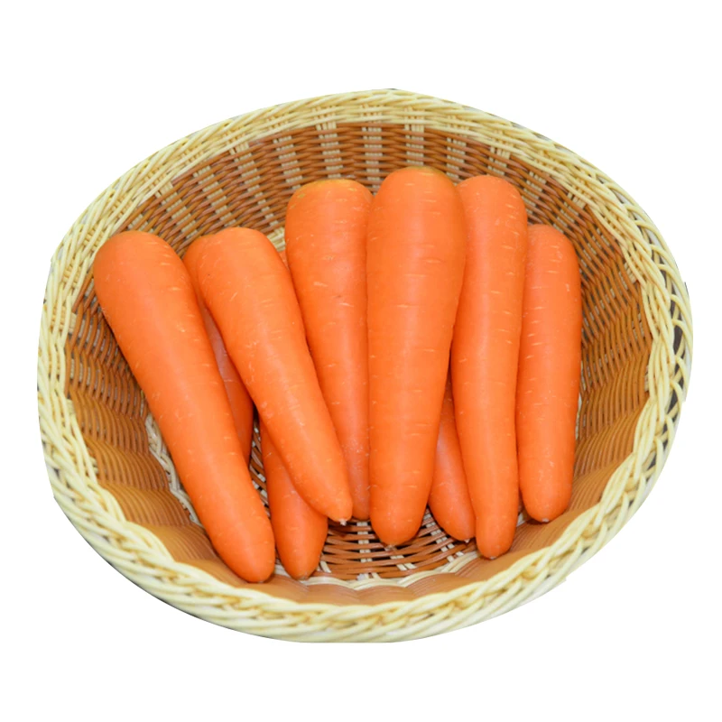 Premium Quality Fresh Carrots New Season Buy Fresh