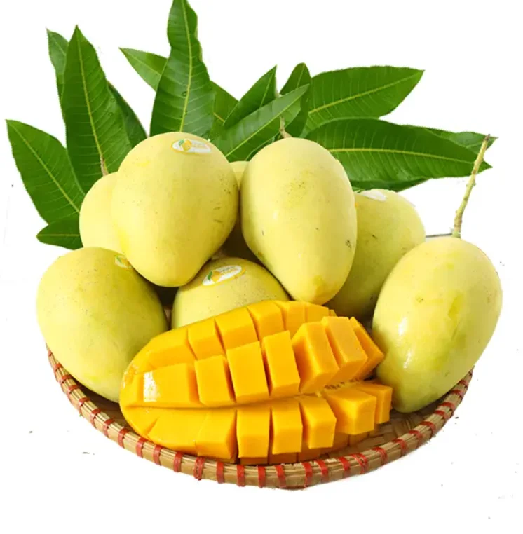 0100 (9).png