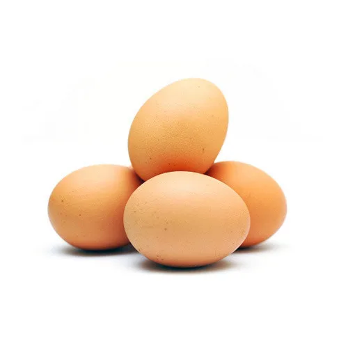 Hot Sale Fresh Eggs brown/white Chicken Eggs top Quality best and competitive prices