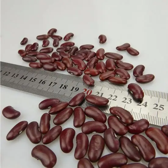 Red Beans 13.jpg