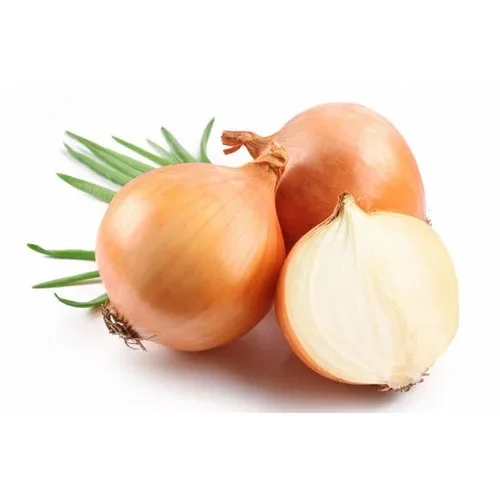 large-yellow-onion-500x500.jpg