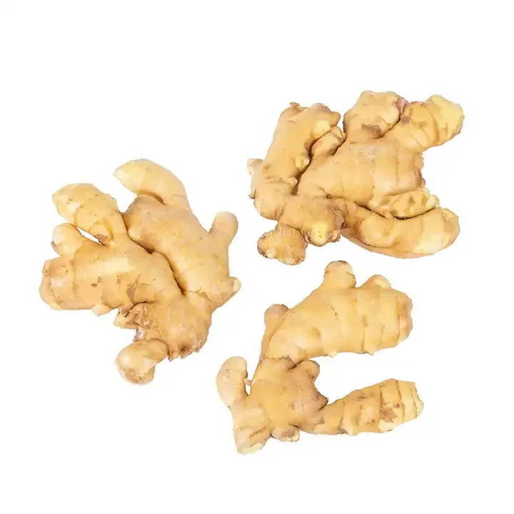 Freshly Harvested Ginger Straight From The Farm - Buy Freshly Harvested ...