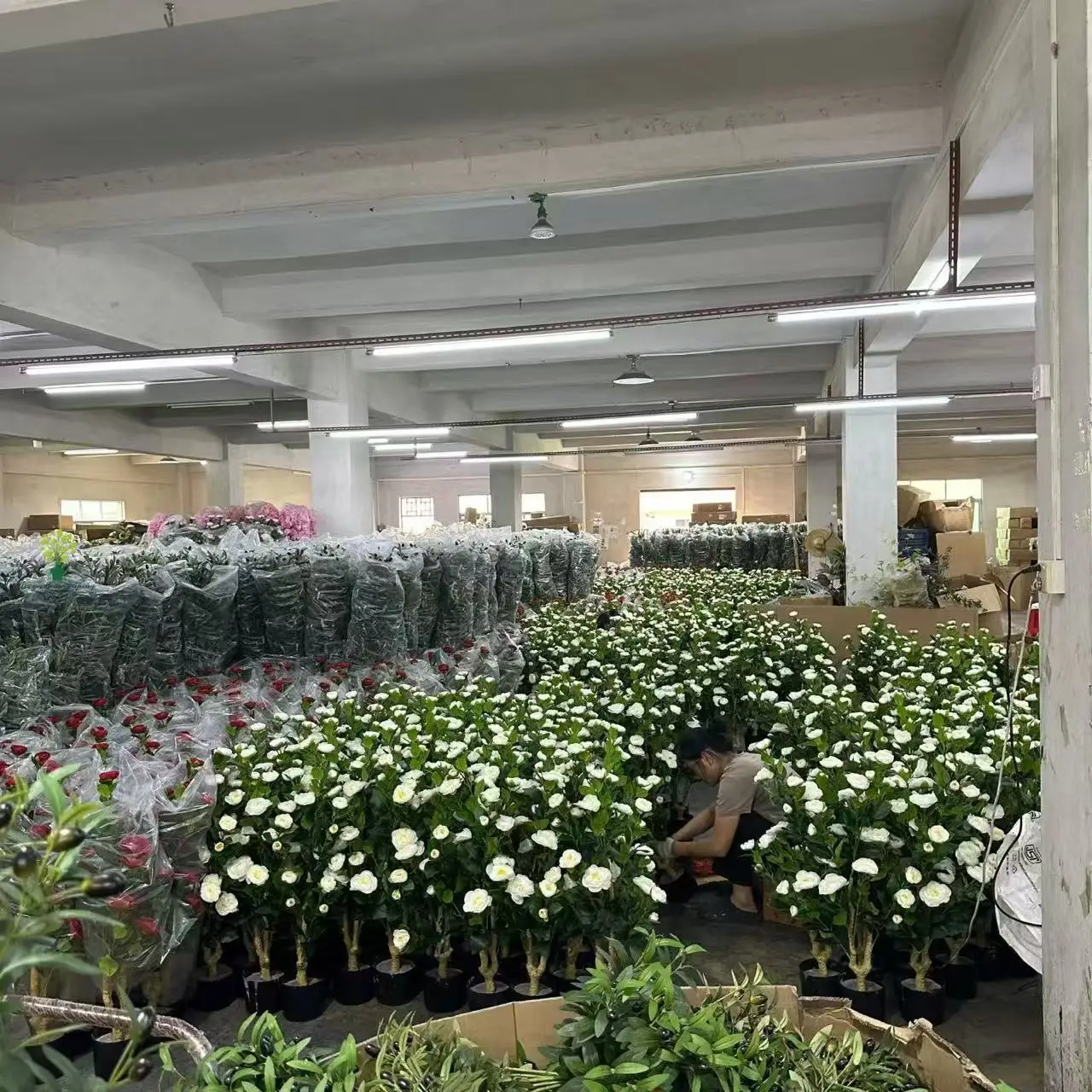 Shenzhen Yitaihe Trade Import And Export Co., Ltd.