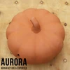 Terracotta color