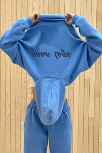 Thick Cotton Women's Autumn Winter Style OEM 400 500 600GSM Heavyweight Lined Pullover Hoodie Oversized Blue Custom Printable
