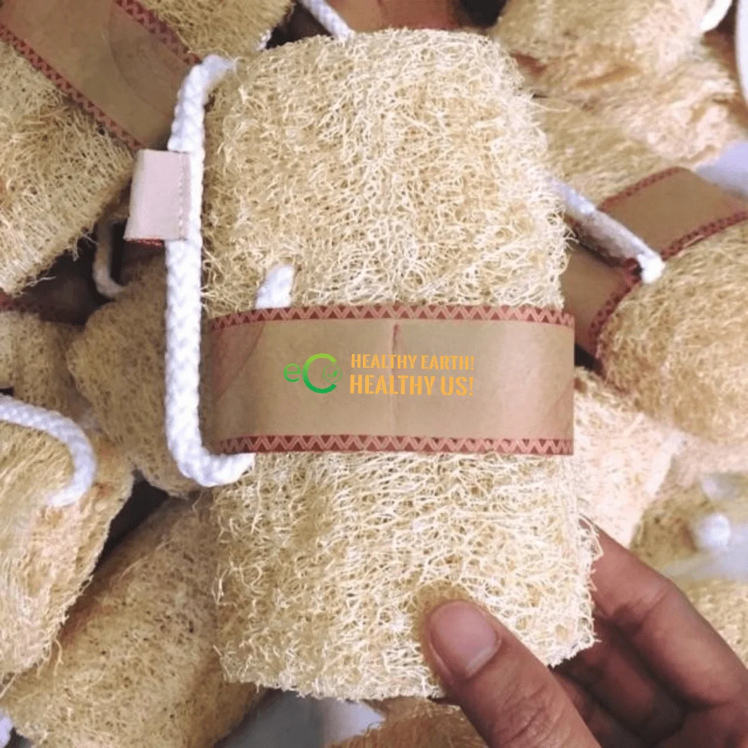Wholesale Organic 100 Natural Loofah Sponge/ Sponge Loofah/ Shower