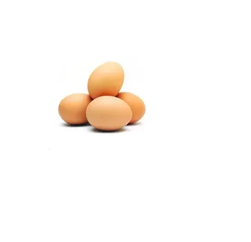 Buy Fresh Table Eggs Brown and White Wholesale Price
