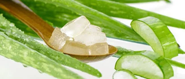 Aloe Vera in Syrup 3kg - Drink Size 5x5x5 8x8x8 10x10x10mm Supplier Bulk Quantity From Vietnam