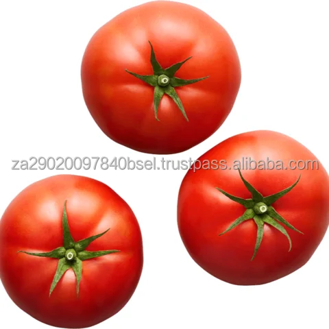 Fresh-tomatoes.png