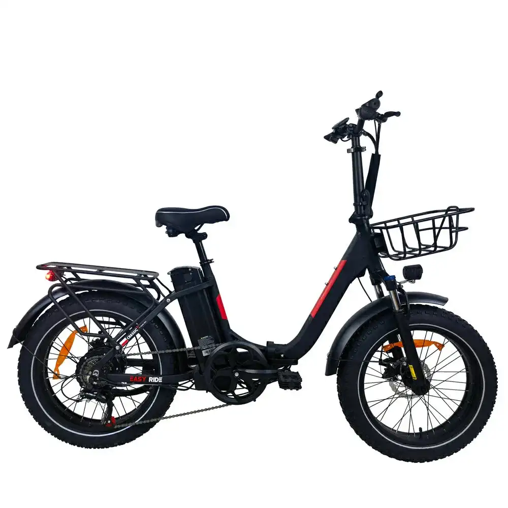 BAOLUJIE DZ-2030 20 vélo de ville électrique à enjambement bas 500W Moteur 48V 13Ah Batterie