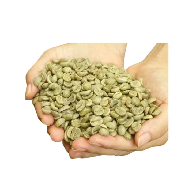 Arabica Coffee Beans Wholesale High Grade Product Raw Coffee Beans