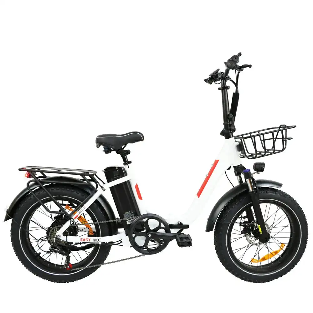 BAOLUJIE DZ-2030 20 vélo de ville électrique à enjambement bas 500W Moteur 48V 13Ah Batterie