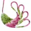 Pink, Green