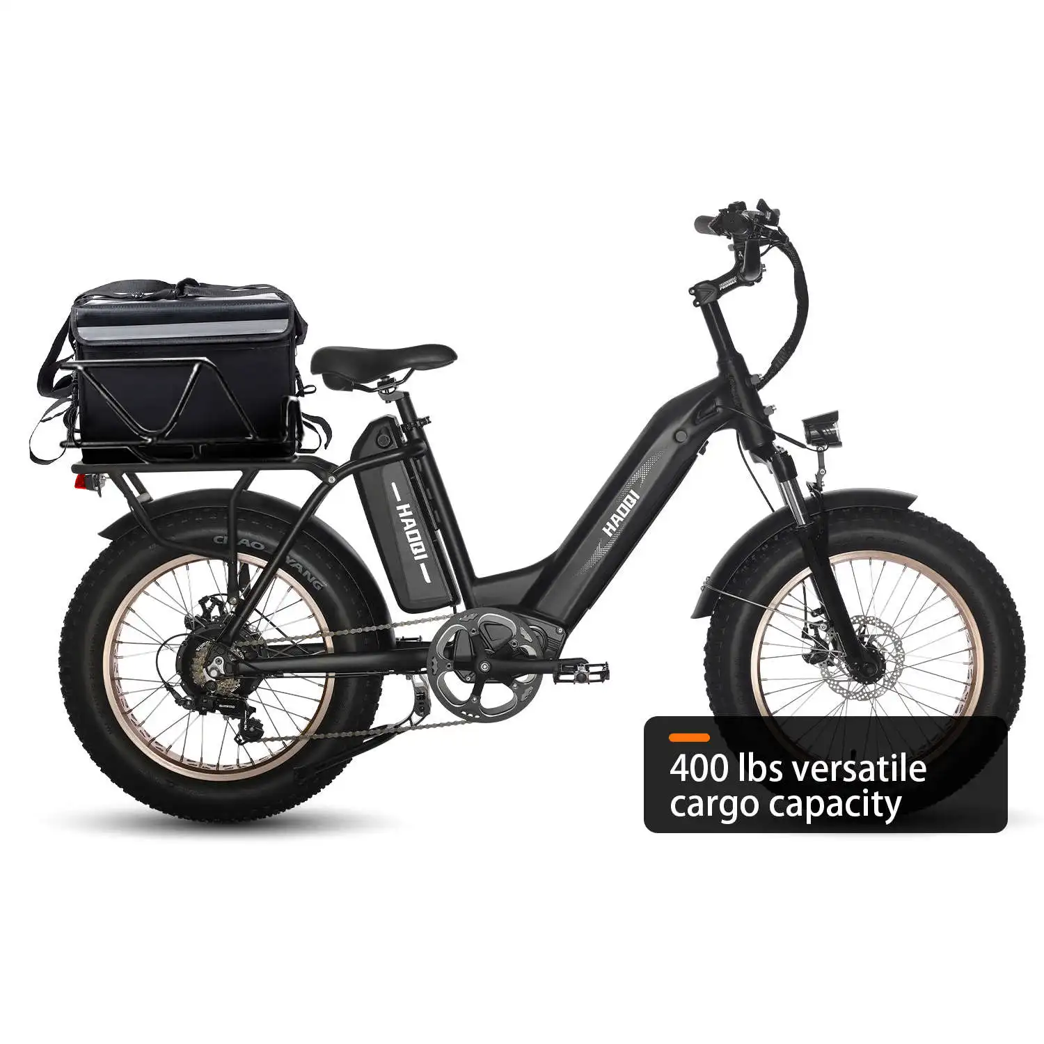 HAOQI Antelope Pro 750W Cargo Electric Bike (UL Certified)