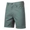 Gris-vert