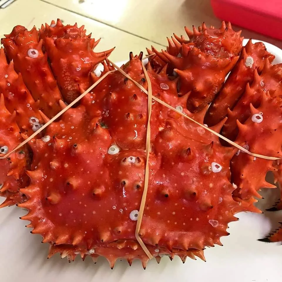 Frozen/Fresh Red King Crabs King Crab Legs Live Red Kind Crabs