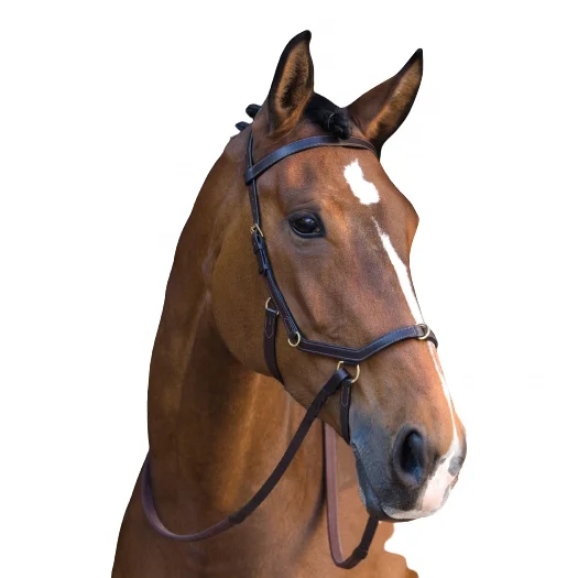 Anatomical Horse Riding Bridle With Anatomic Shape And Soft Padded
