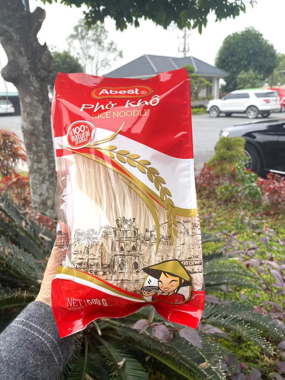 Vietnam Rice Noodles,Vermicelli 400g Buy Organic Noodles Manufacture