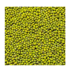 Quality Assurance New Crop Natural Green Moong Dal Wholesale Price Indian Moong Dal Bean Export Grains