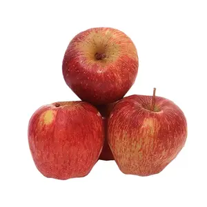 High Quality Green Golden Delicious Apples Royal Gala Apples at Cheap Price Manufacturer Worldwide Exports