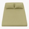 Avocado Green