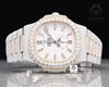Rose White