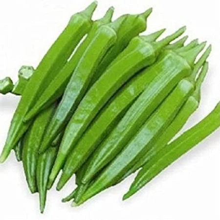 51b+Lyco4BL._SX466_.jpg