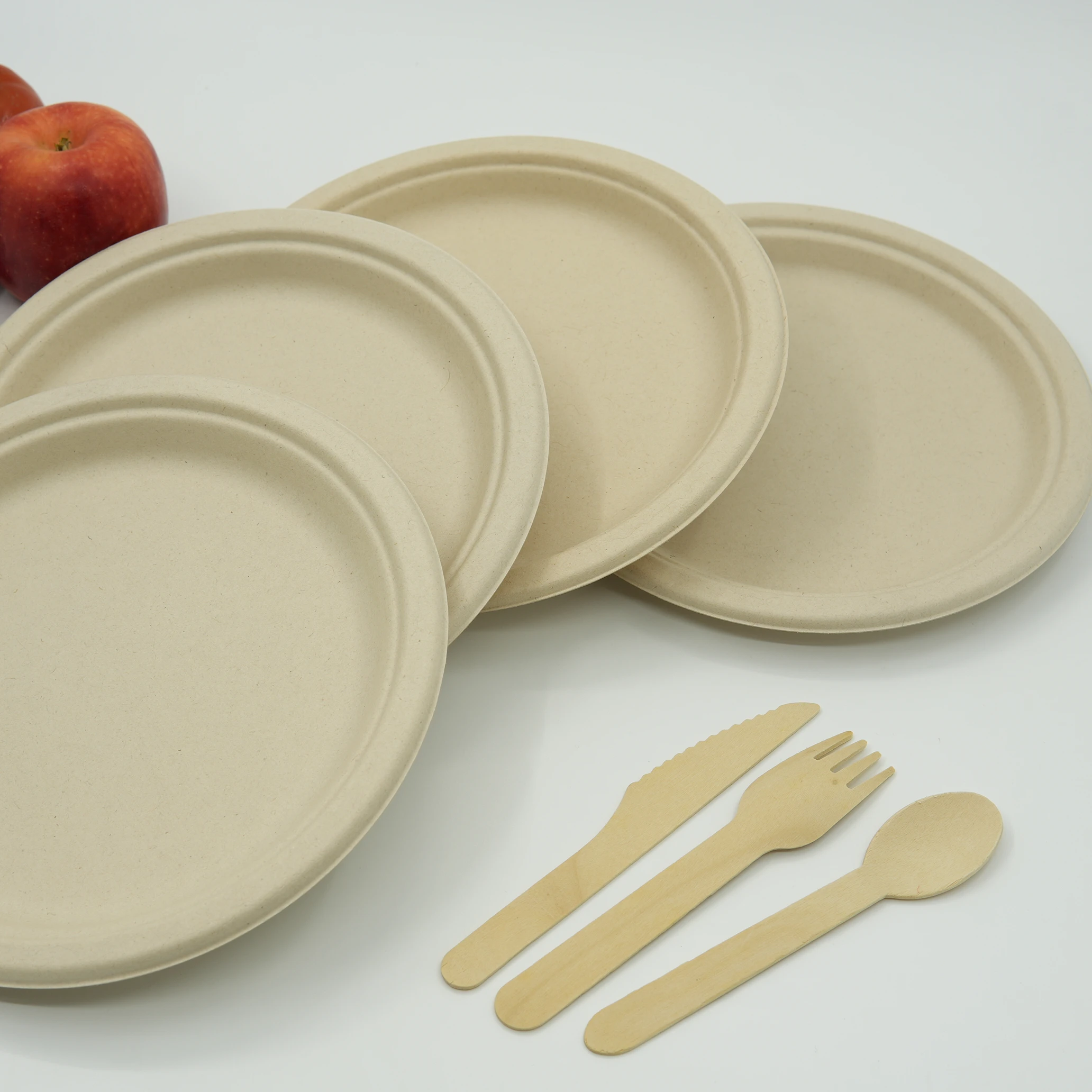 Biodegradable Bamboo & Bagasse Disposable Natural Plates Tray Good ...