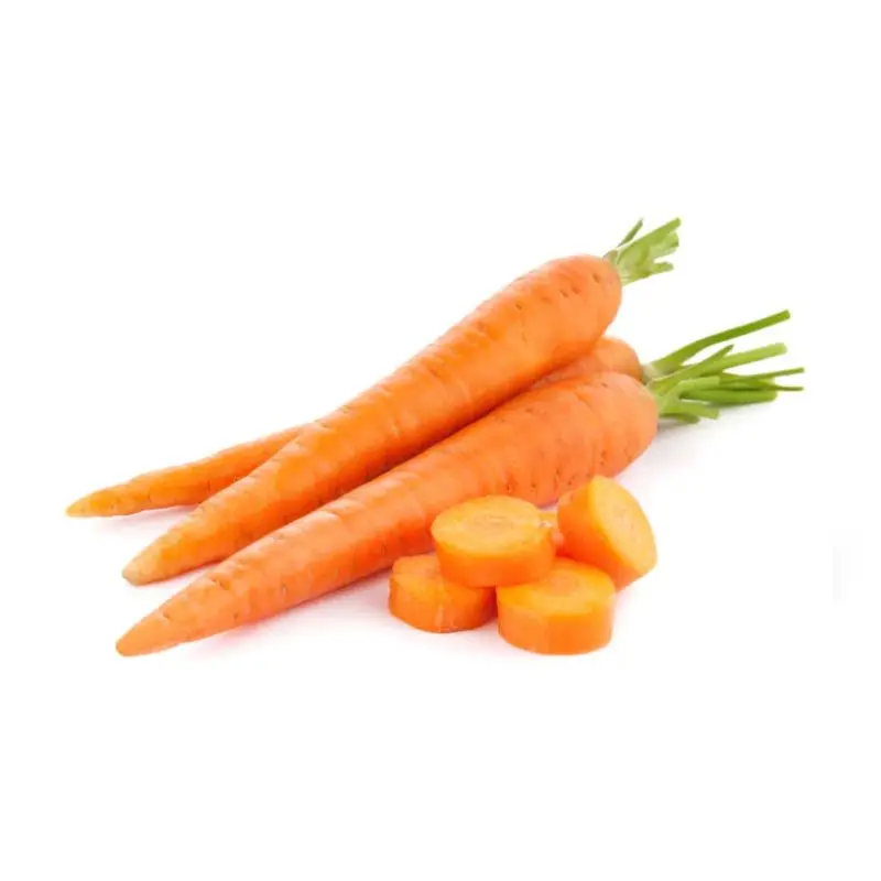carrot.jpg