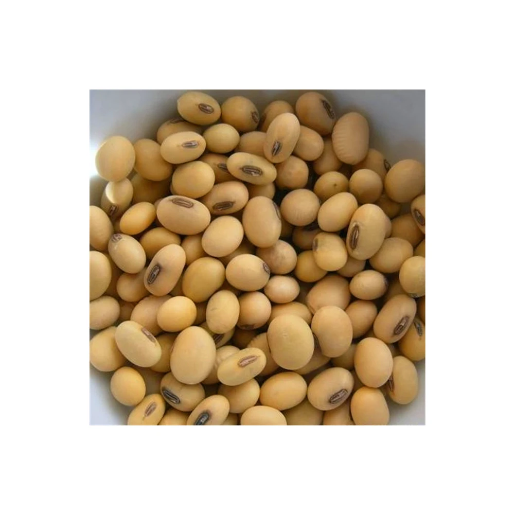 50kg Bag Sprouting And Food Grade Dry Yellow Soybean Seed Non Gmo Soybeans Buy Gmo And Gmo