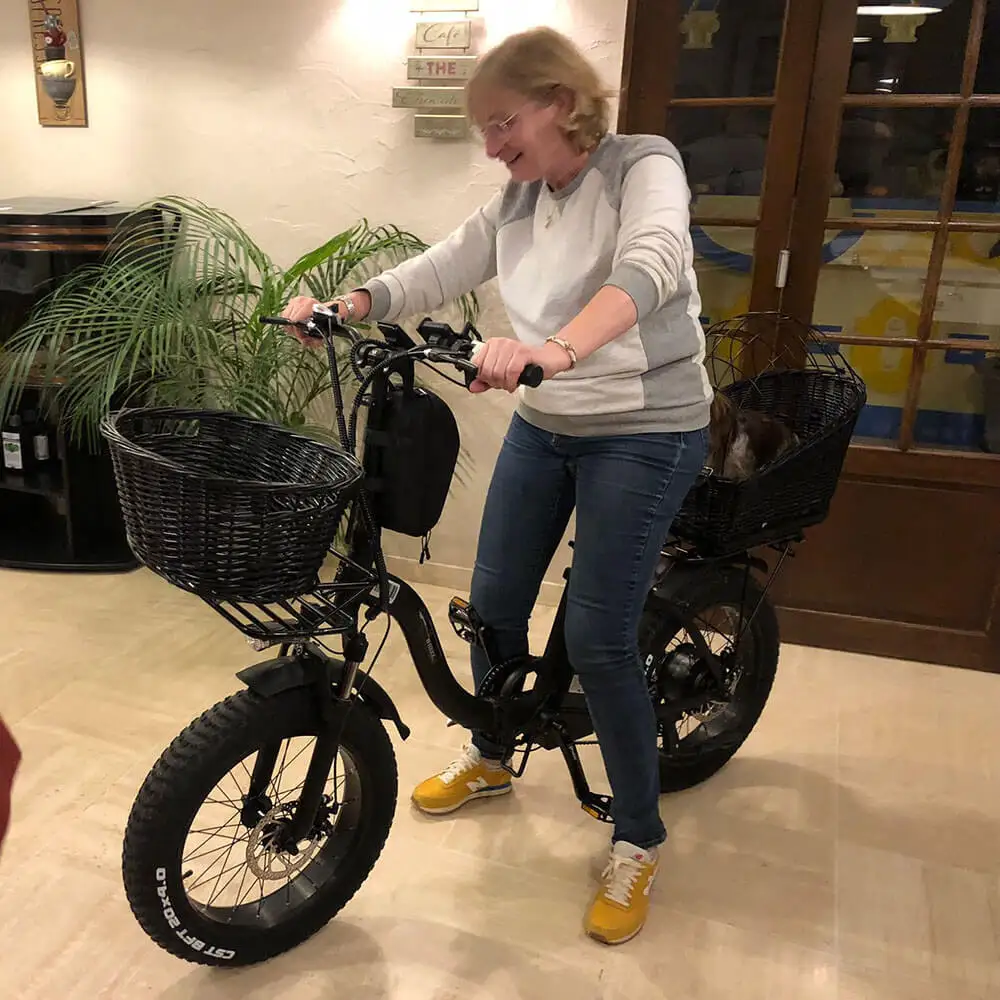 CMACEWHEEL Y20 Plus 48v Folding Electric City Bike with 20Ah Battery Smart Digital Type App Support Step through Fat Tire Ebike