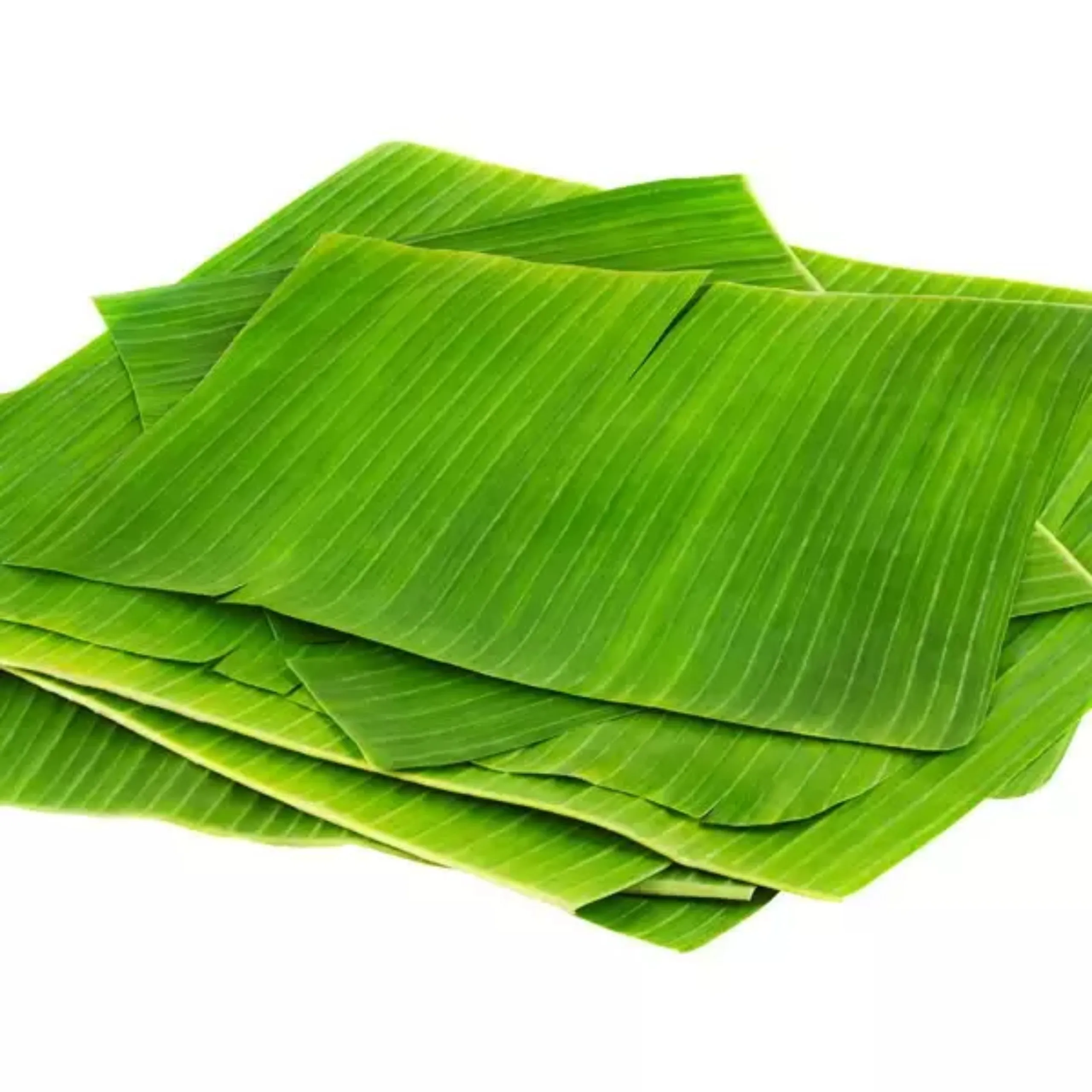High Quality Frozen Banana Leaf / Green Leaf (ms. Jennie) Buy Banana Leaf/ Dried Banana Leaf