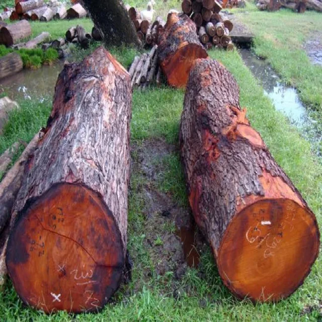 High Quality Teak Timber Logs Teak Timber Timber Logs Wood Buy Logs