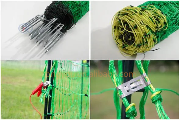 Poultry Farm Electric Chicken Fence Netting / Protect Animals Plastic ...