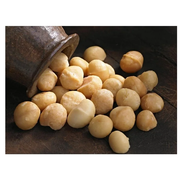 Premium Quality Dried Organic Macadamia Nuts Bulk Stock At Wholesale