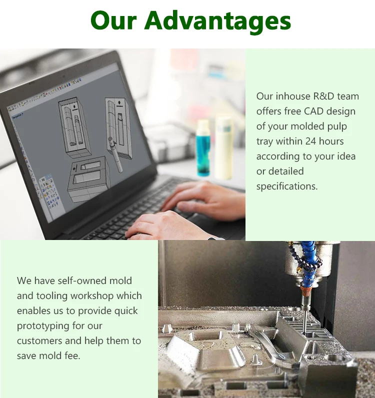 Vietnam Paper Pulp Insert Manufacturer Eco Friendly Product Packaging