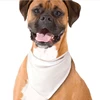 Bandana pour animaux