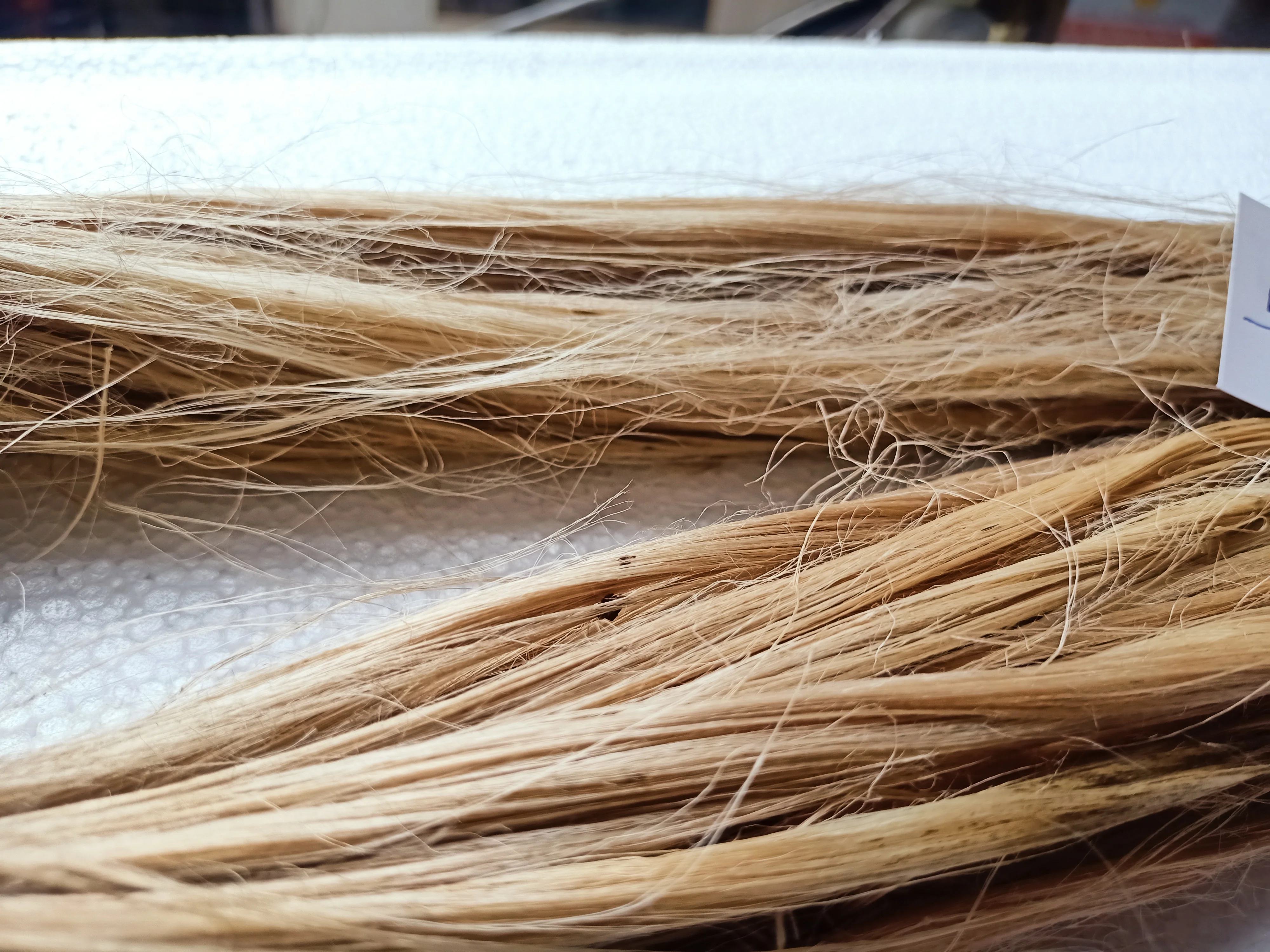 Custom Made Natural Agave Fibers - Ideal for Textile Spinners